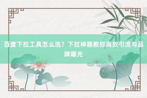 百度下拉工具怎么选？下拉神器教你高效引流与品牌曝光