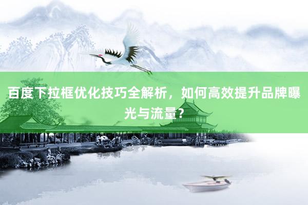 百度下拉框优化技巧全解析，如何高效提升品牌曝光与流量？
