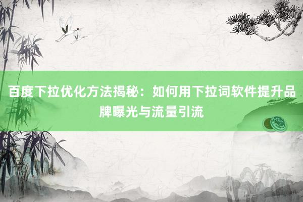 百度下拉优化方法揭秘：如何用下拉词软件提升品牌曝光与流量引流