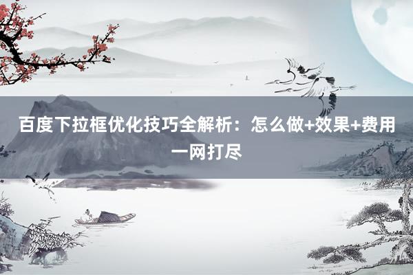 百度下拉框优化技巧全解析：怎么做+效果+费用一网打尽