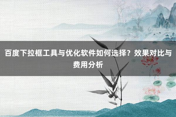 百度下拉框工具与优化软件如何选择？效果对比与费用分析