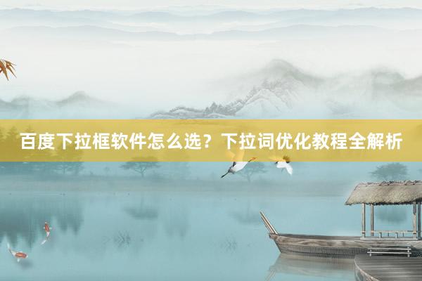 百度下拉框软件怎么选？下拉词优化教程全解析
