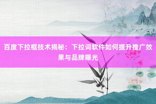 百度下拉框技术揭秘：下拉词软件如何提升推广效果与品牌曝光
