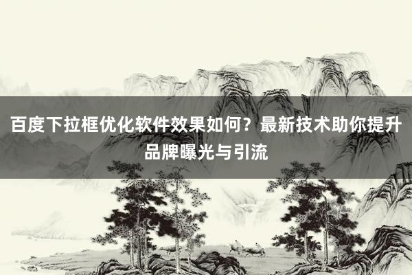 百度下拉框优化软件效果如何？最新技术助你提升品牌曝光与引流
