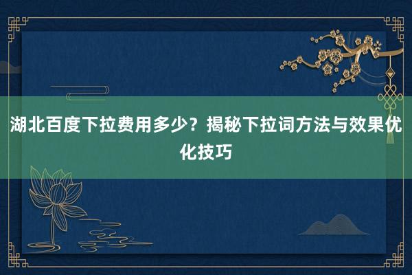 湖北百度下拉费用多少？揭秘下拉词方法与效果优化技巧