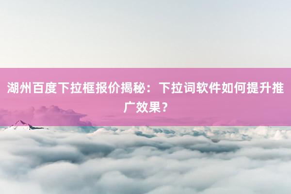 湖州百度下拉框报价揭秘：下拉词软件如何提升推广效果？