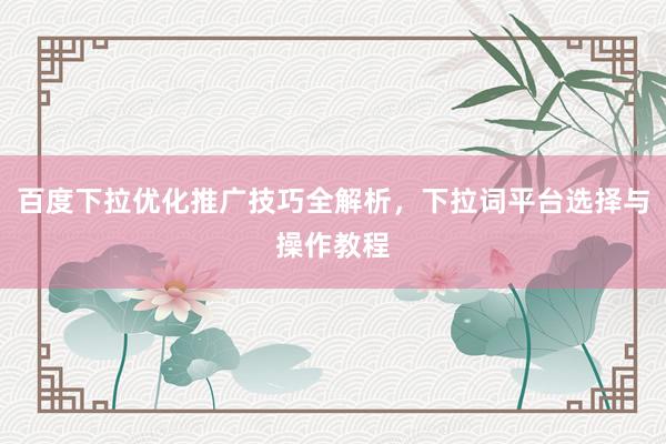 百度下拉优化推广技巧全解析，下拉词平台选择与操作教程