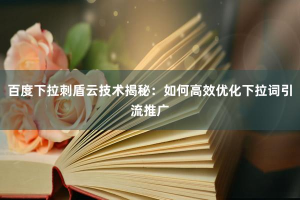 百度下拉刺盾云技术揭秘：如何高效优化下拉词引流推广