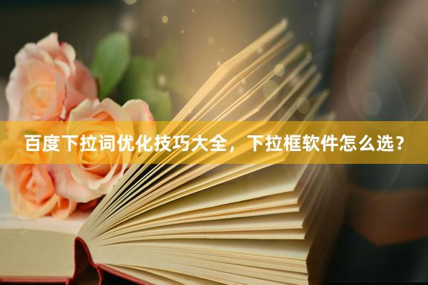 百度下拉词优化技巧大全，下拉框软件怎么选？