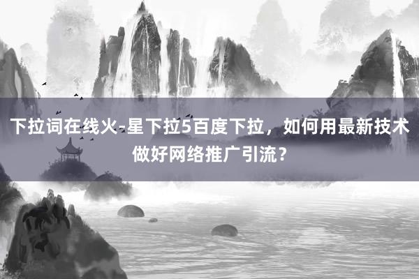 下拉词在线火-星下拉5百度下拉，如何用最新技术做好网络推广引流？