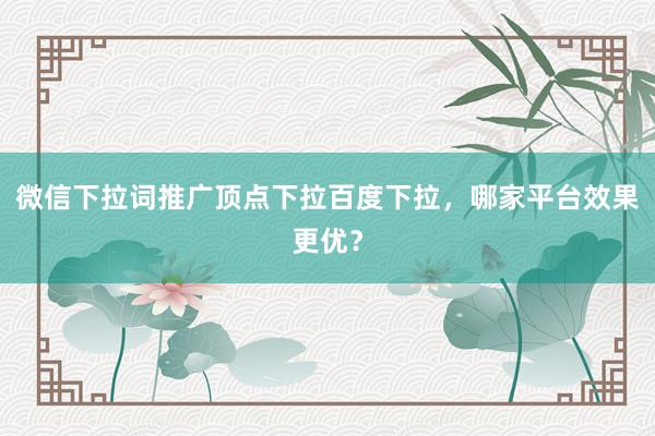 微信下拉词推广顶点下拉百度下拉，哪家平台效果更优？